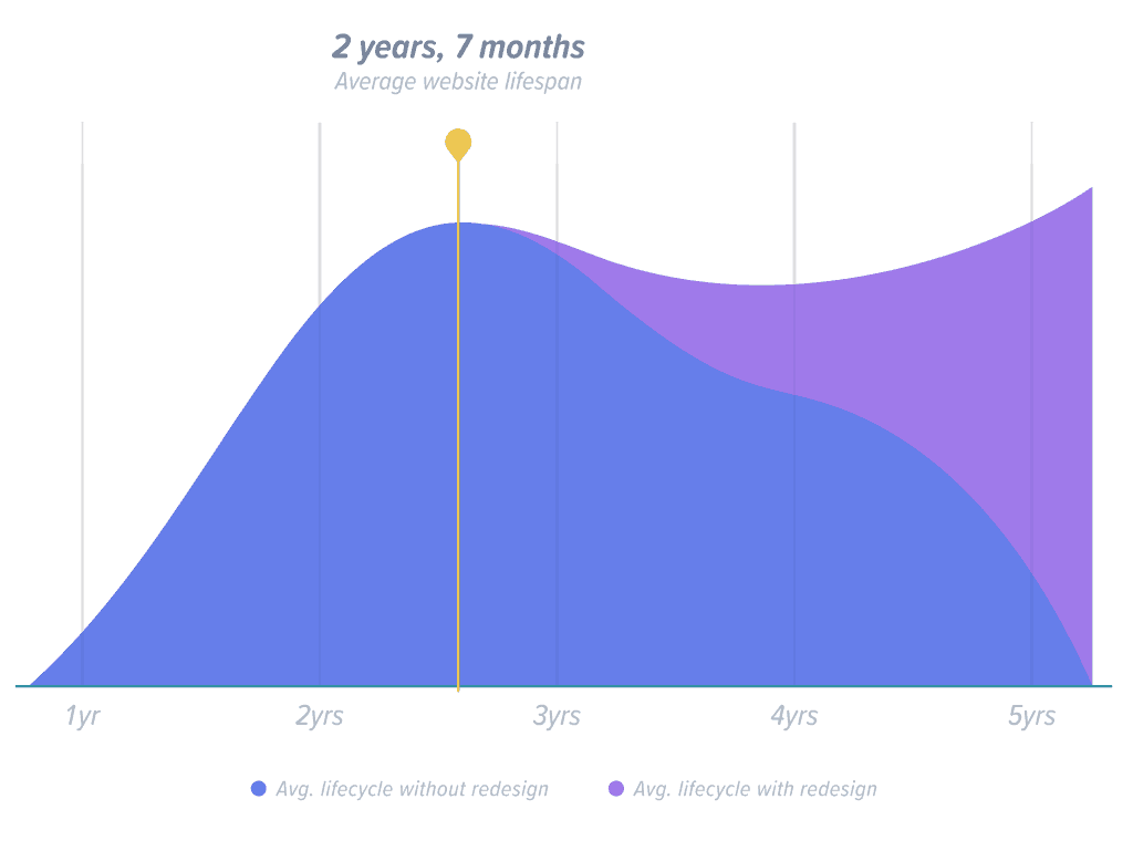 Website Lifecycle